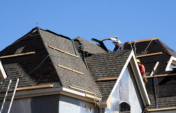Best Flat Roof Repair Services  in Sauk Centre, MN