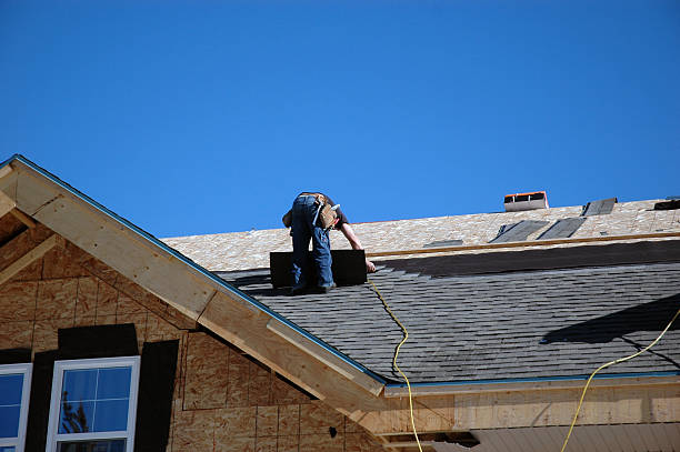 Best New Roof Installation  in Sauk Centre, MN
