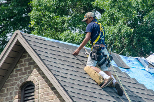 Professional Roofing Contractor in Sauk Centre, MN